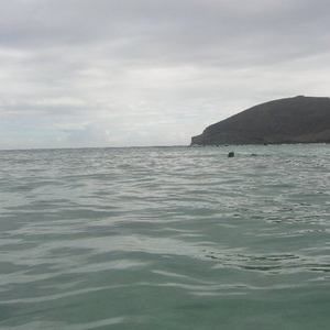 Meet your Posher, Deena